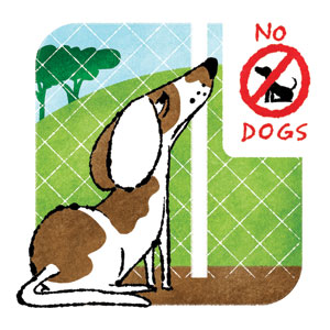 AskCharles_dogpark