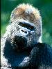 Flashback_WillieB