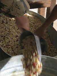 inthehopper