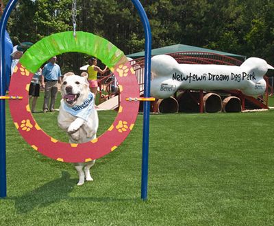 Newtown Dream Dog Park