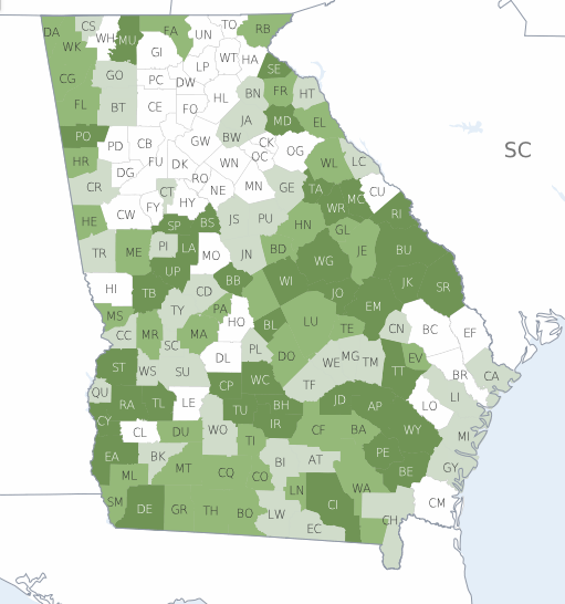 Healthiest counties in Georgia