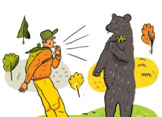 Caution! How to deal with common fears on Georgia trails