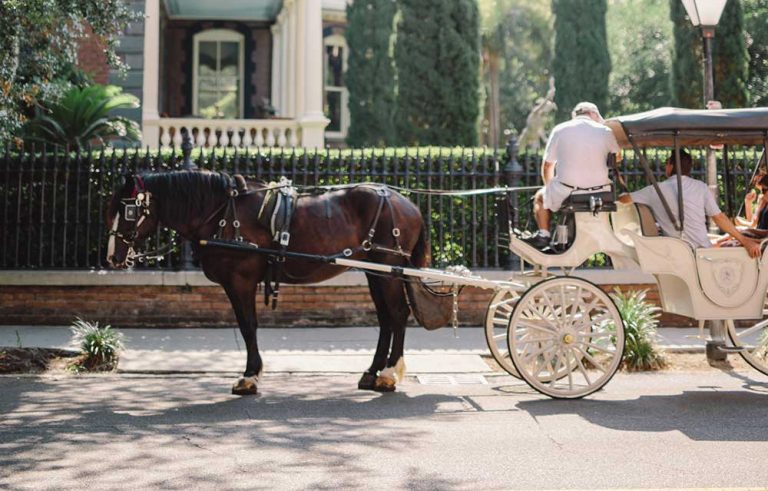 What’s Classic and What’s Coming in Charleston: History