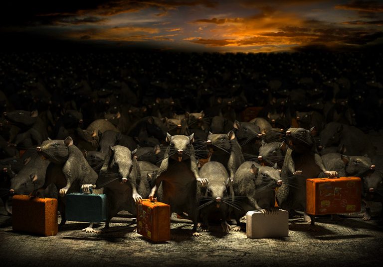 Rat-lanta: On the front lines of Atlanta’s rodent invasion