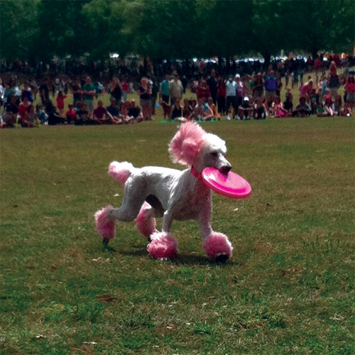 24 Atlanta festivals to experience in April
