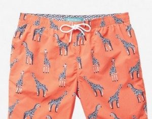 Bonobos