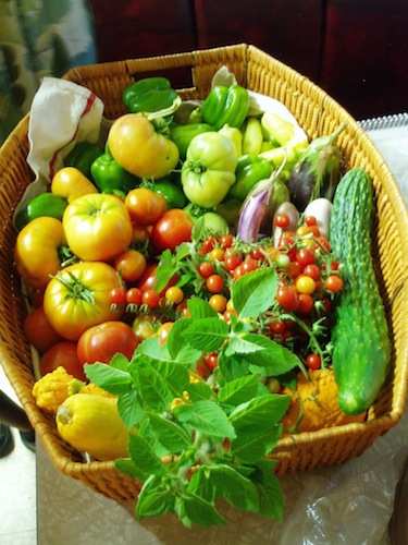 MARTA pilots farmers market pop-up next Friday