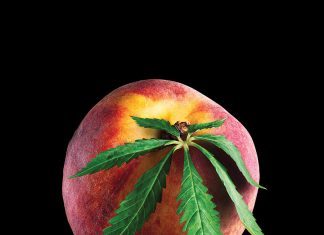 Medical Marijuana in Georgia