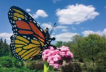19 fantastic Atlanta events for kids and families in September