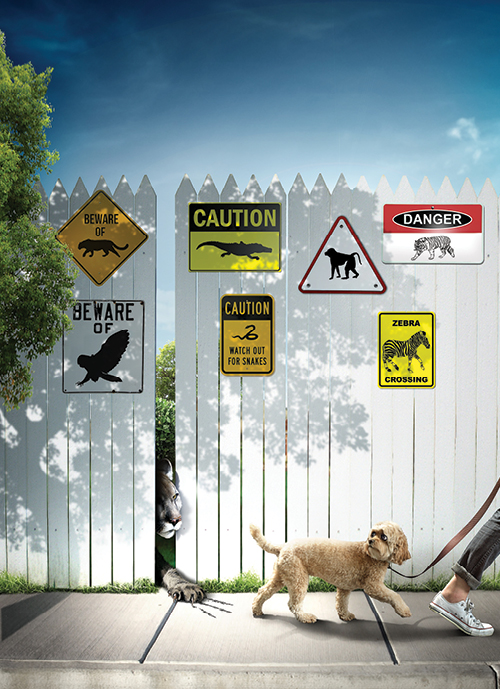 Does Georgia need to tighten the leash on exotic animals? Exotic animals