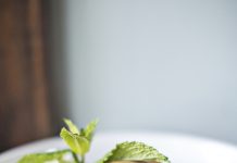 The Pinewood’s vanilla-bourbon bread pudding Vanilla bourbon bread pudding