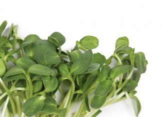 Sprouts