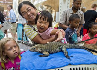 29 sizzling events for Atlanta families in July