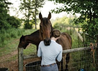 Training unwanted mustangs revived Elisa Wallace’s Olympic equestrian dreams Wild horse training