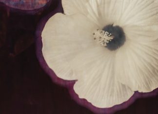 How to buy and collect photography in Atlanta Atlanta Photography