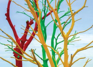 Atlanta Botanical Garden exhibits a whimsical side with new Curious Garden installation Atlanta Botanical Garden Curious Garden