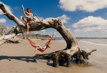 String up a hammock between fallen trees on Driftwood Beach Driftwood Beach on Jekyll Island