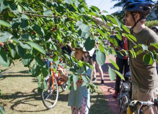 Concrete Jungle’s Fruit Ramble promises a bounty of fun