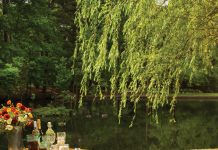 How to enjoy a perfect, peaceful picnic Picnic