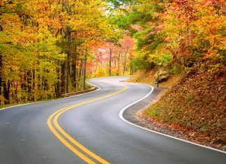 Fall colors