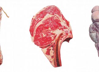 The subject of painter Kerry Escobedo’s portraits? Raw meat. Kerry Escobedo meat paintings