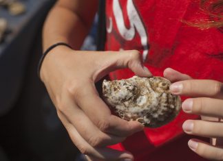 Landlocked Oyster Fest