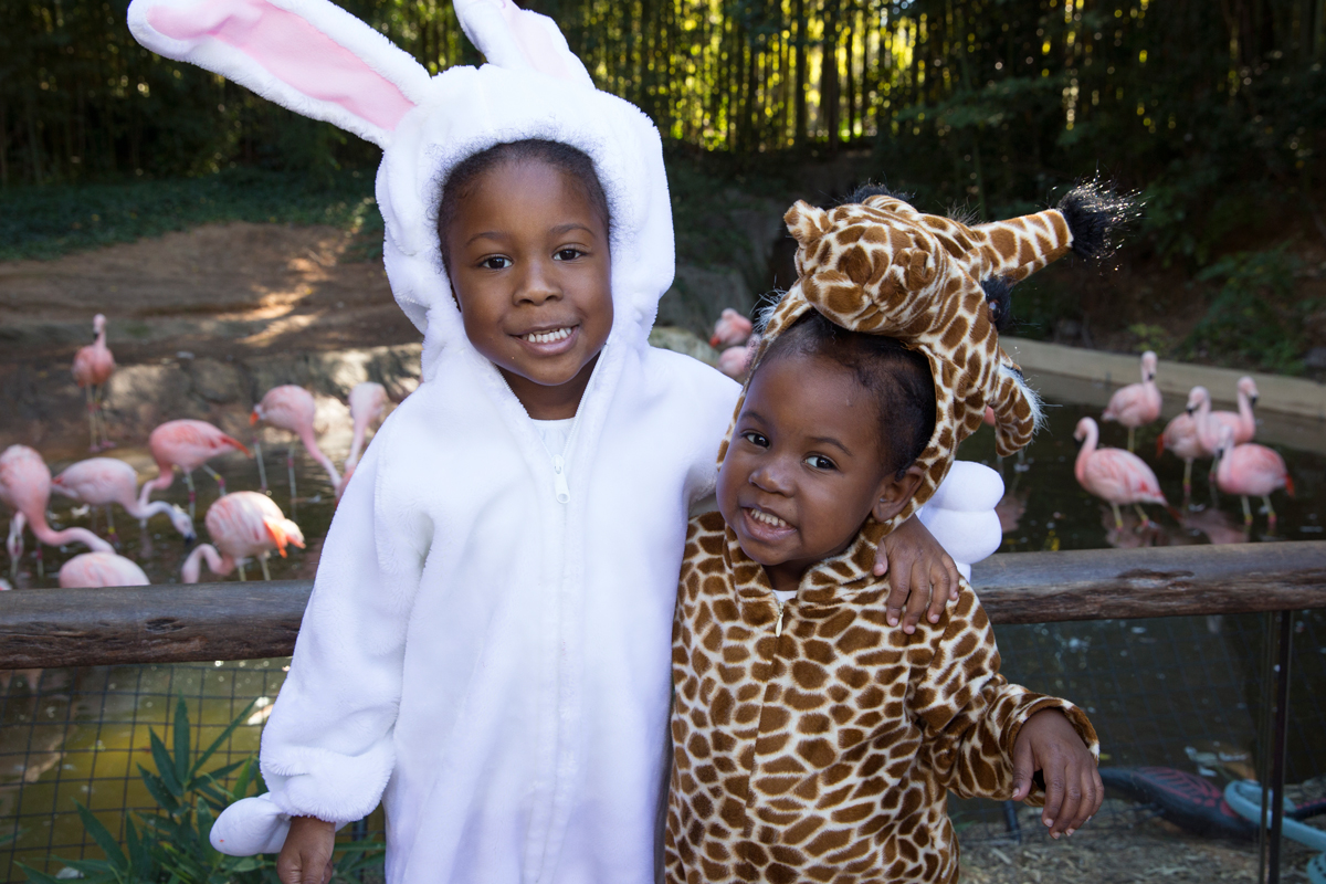Things to do Halloween events Atlanta