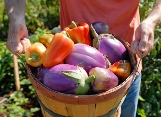 Community Farmers Markets’ inaugural Red Clay Soirée has an impressive food lineup Red Clay Soiree