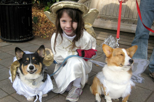 Reindog Parade