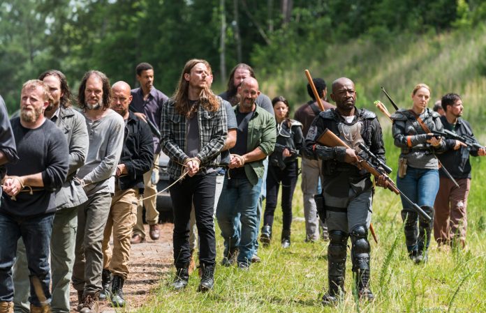 The Walking Dead 803 The Walking Dead 803