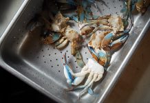 Where to eat local seafood on Georgia’s coast