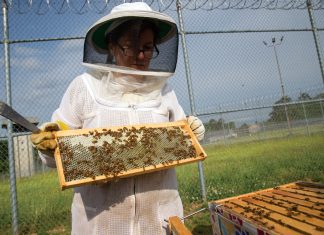 At Georgia’s Arrendale State Prison, women inmates forge a bond by keeping bees Julia Mahood