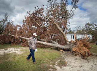 Georgia pecan farmers