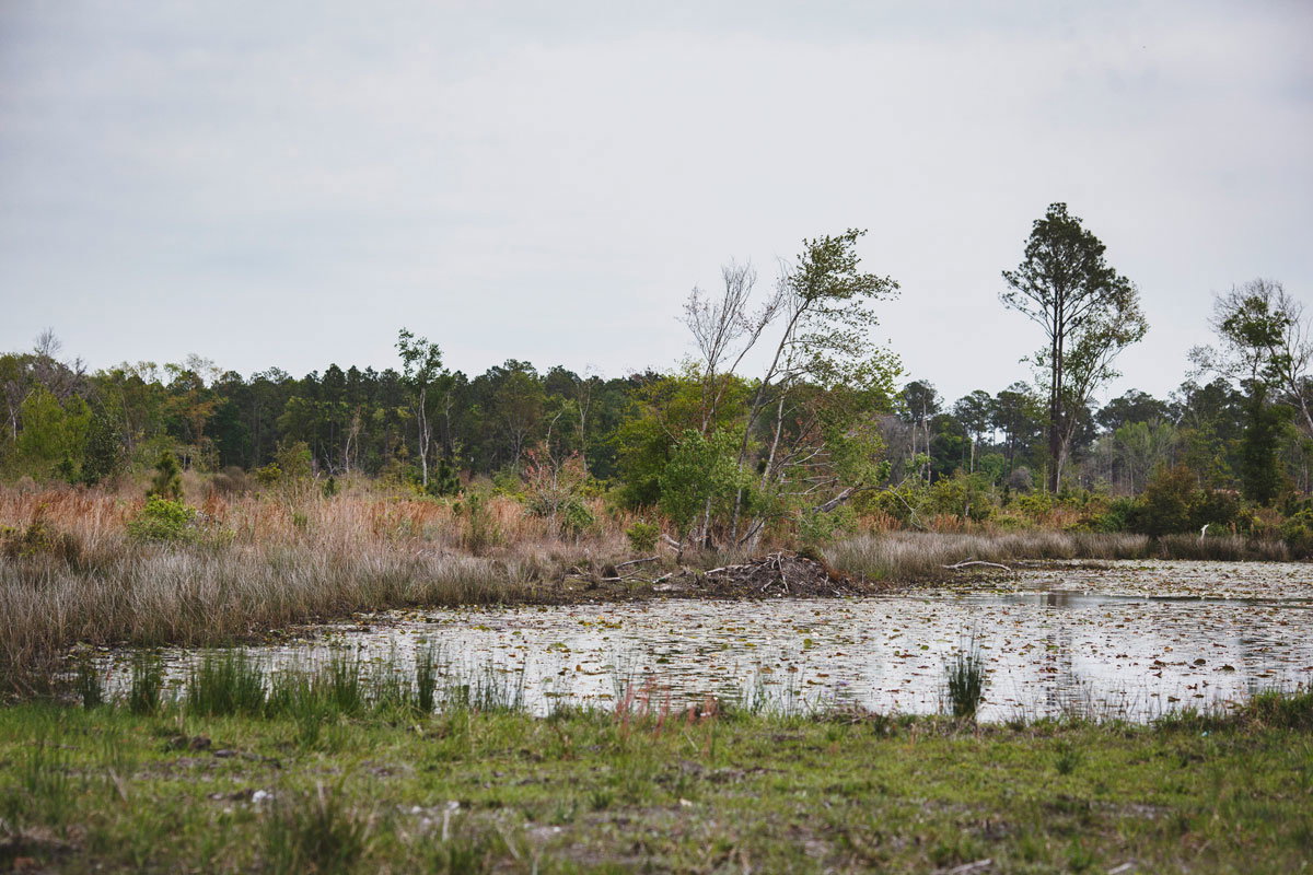 Waycross, Georgia cancer cluster