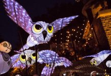 5 Atlanta events you won’t want to miss: July 31-August 6 Parliament of Owls