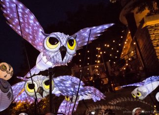 5 Atlanta events you won’t want to miss: July 31-August 6 Parliament of Owls