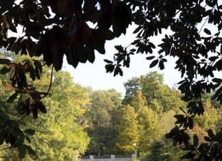 2020 Atlanta 500 Religion Nonprofits Advocacy Piedmont Park