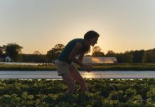 Georgia’s farmers have plenty of crops. The problem is who can buy them—and how.