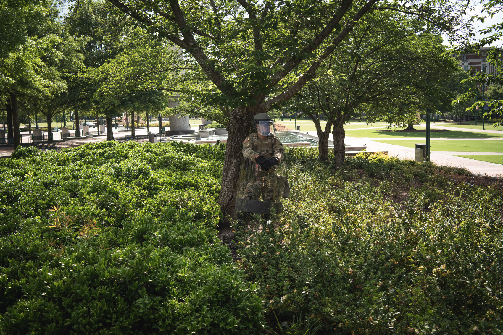national guard in foliage