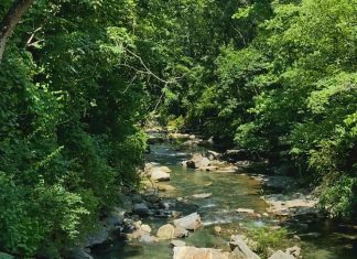 Proctor Creek Greenway