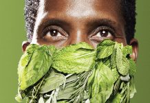 5 face masks from favorite Atlanta brands (including one made with basil and mint) Atlanta face masks we love