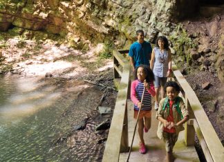 6 great hikes—from gentle to brutal—in the North Georgia mountains Where to hike in Georgia