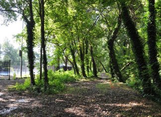 Route unveiled to extend Atlanta BeltLine into more west side neighborhoods Atlanta BeltLine Westside Trail Extension