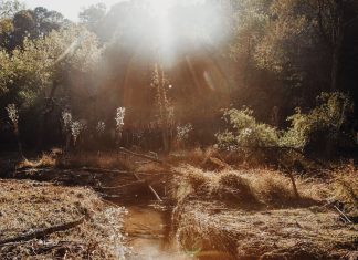 Lake Charlotte Nature Preserve