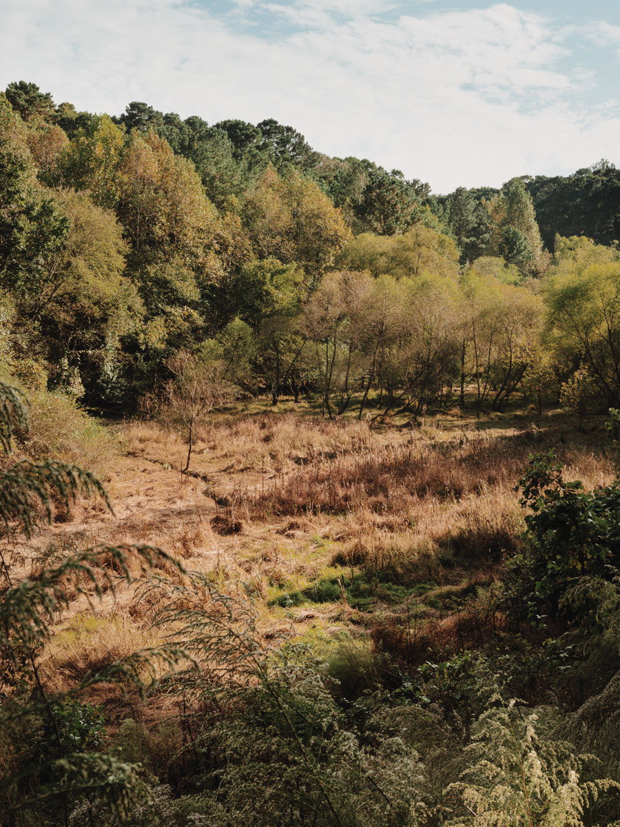 Lake Charlotte Nature Preserve