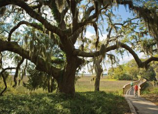 Great Georgia routes and rides for beginner, mountain, gravel, and road cyclists Where to bike in Atlanta and in Georgia