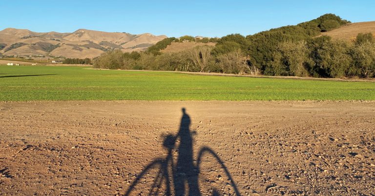 Bicycling during the pandemic put me in the hospital and saved my life