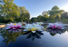 10+ ways to spend Memorial Day weekend in metro Atlanta Things to do on Memorial Day Weekend in Atlanta