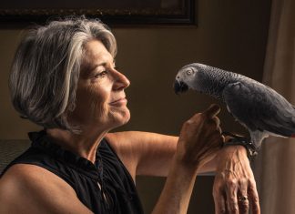 Pandemic pet adoptions