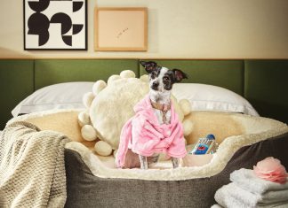 21 great pet-friendly hotels, patios, coffee shops, bars, and more in metro Atlanta